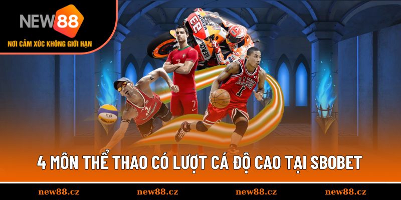 4 môn thể thao có lượt cá độ cao tại Sbobet